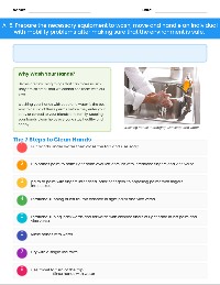Proper Hand Hygiene Steps