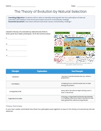 Guided Notes: Theory of Natural Selection