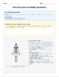 Human Body Systems