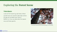 Defining Prepositions Slides