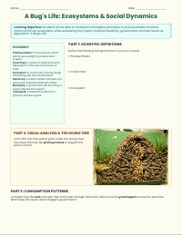 A Bug's Life: Ecosystems and Social Structures