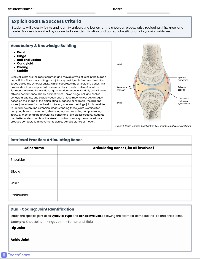 Synovial Joints and Biomechanical Movements