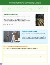 Animal Memory and Survival