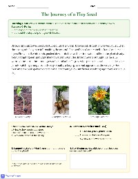 Plant Growing Reading Quiz