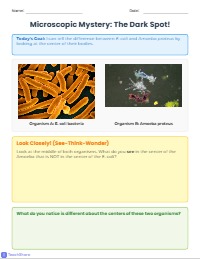 Nucleus Search