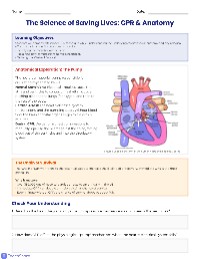 CPR Lifesaving Simulation