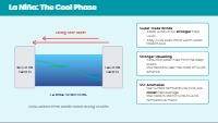 The ENSO Cycle