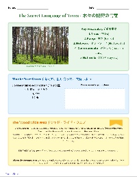 Understanding the Wood Wide Web