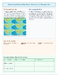 The Great Animal Migration Journey