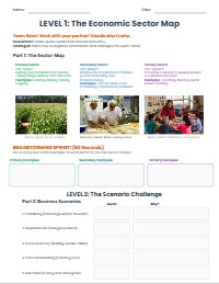 Exploring the Four Sectors of Economy