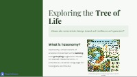 Exploring the Tree of Life Classification