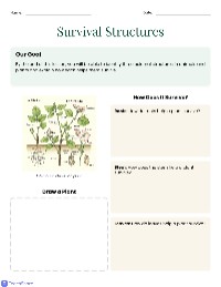 Survival Structures in Nature