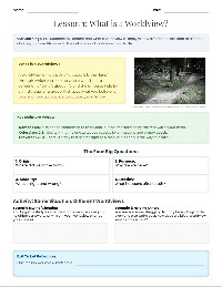 Biblical Worldview Activity Sheets