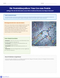 Vom Gen zum Protein: Ein Molekularbiologie-Projekt