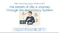 Introduction to the Respiratory System