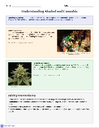 Understanding Substances and Peer Pressure