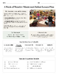 Montessori Infant Learning Plan