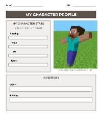Personalized Minecraft Character Profile