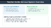Understanding the Nervous System: Structure and Function