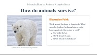 Introduction to Animal Adaptations