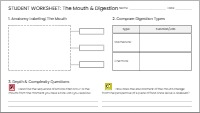 Analyzing the Mouth: Depth and Complexity