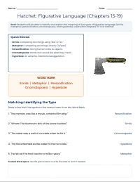 Figurative Language in Hatchet Chapters 15-19