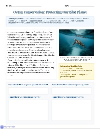 Reading Skills Review Worksheet