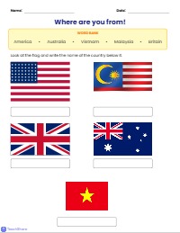 Identifying National Flags of the World