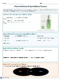Anatomy and Physiology of Plants