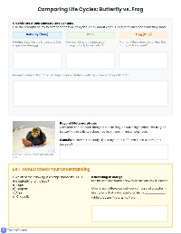 Life Cycles Learning Journey