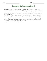 Forest Layers Reading and Essay