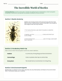 Beetle Biology and Backyard Discovery