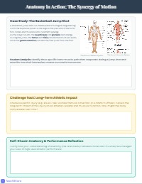 Musculoskeletal System in Athletic Performance