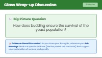 Observing Asexual Yeast Reproduction Lab Guide