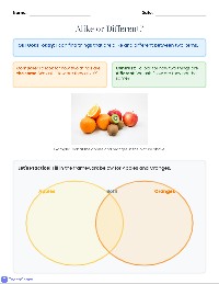 Compare and Contrast Helper