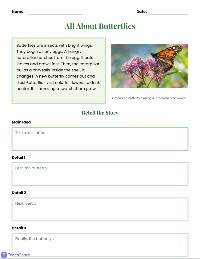 Butterflies: Main Idea Retelling