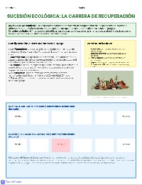 Succession Adventure Board Game