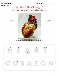 Understanding Heart Health