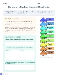 Understanding Biological Classification
