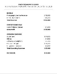 Photography Financial Statements