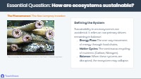 Ecosystem Sustainability and Sea Lamprey Invasion