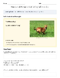 Text or Picture Detectives