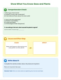 Why Bees Matter: Cause and Effect Lesson