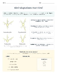 Understanding Bird Adaptations