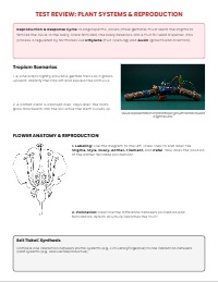 Systems Interactions in Animals and Plants Review