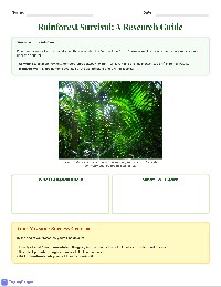 Rainforest Survival Research Guide