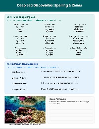 Ocean Life Vocabulary Practice