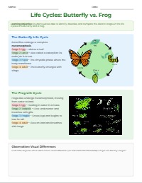 Amazing Life Cycles: Butterflies and Frogs