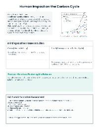 Carbon Cycle Daily Worksheets