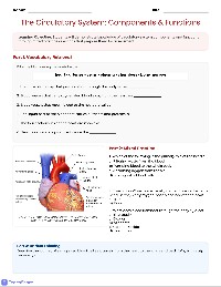 Circulatory System Study Guide